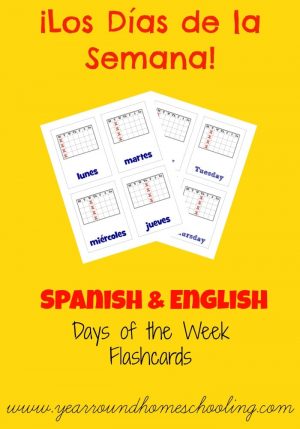 Spanish Days of the Week Flashcards
