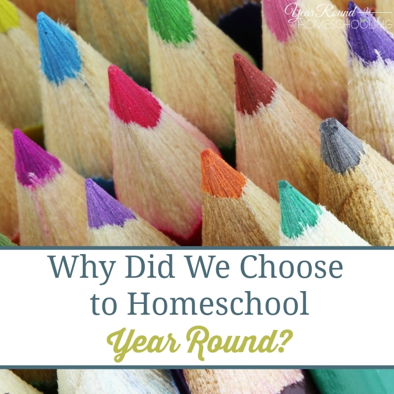 Year Round Homeschooling Stories Archives - Year Round Homeschooling