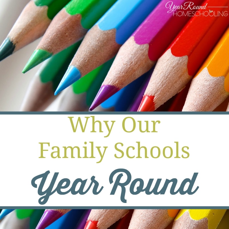 Why Our Family Schools Year Round - By Keri - Year Round Homeschooling