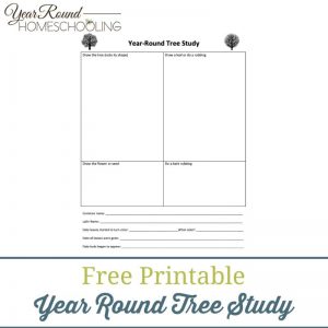 Year Round Tree Study Page