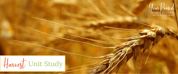 harvest unit study, harvest study, harvest unit, unit harvest, study harvest, unit study harvest