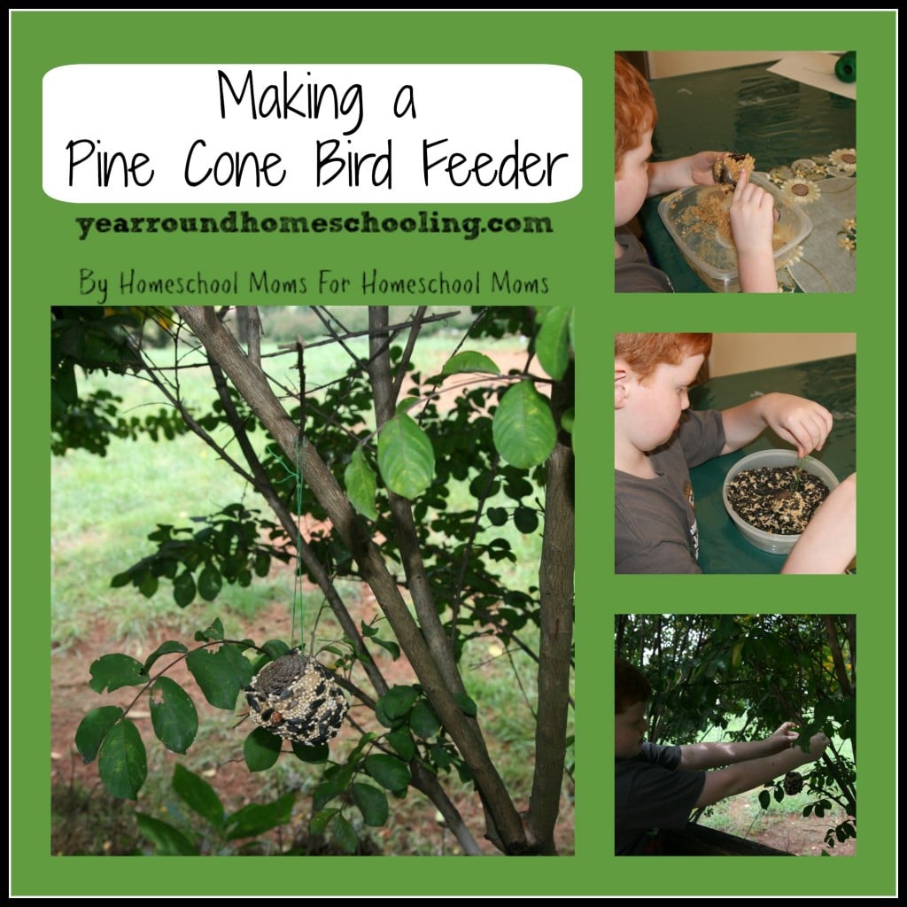 Making A Pine Cone Bird Feeder