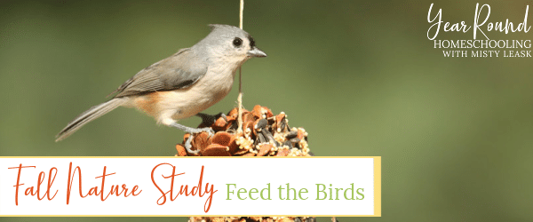 feed the birds, fall nature study feed the birds