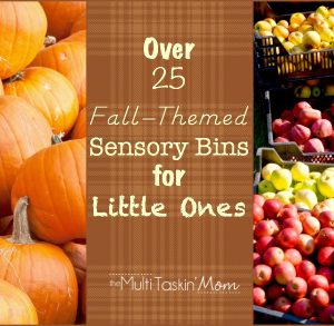 25 Fall Themed Sensory Bins for Little Ones