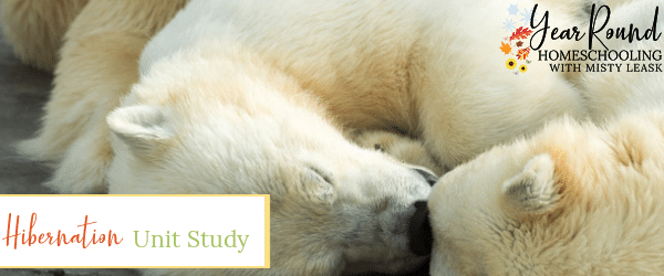 hibernation unit study, hibernation unit, hibernation study