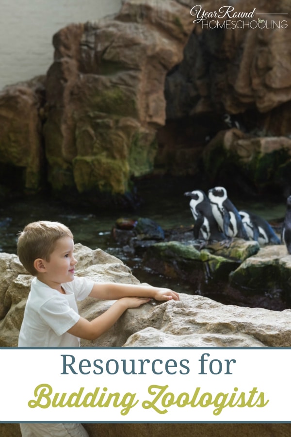 Resources for Budding Zoologists - By Tiffany