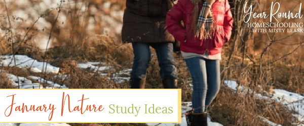 january nature study ideas, nature study ideas january, january nature, nature january