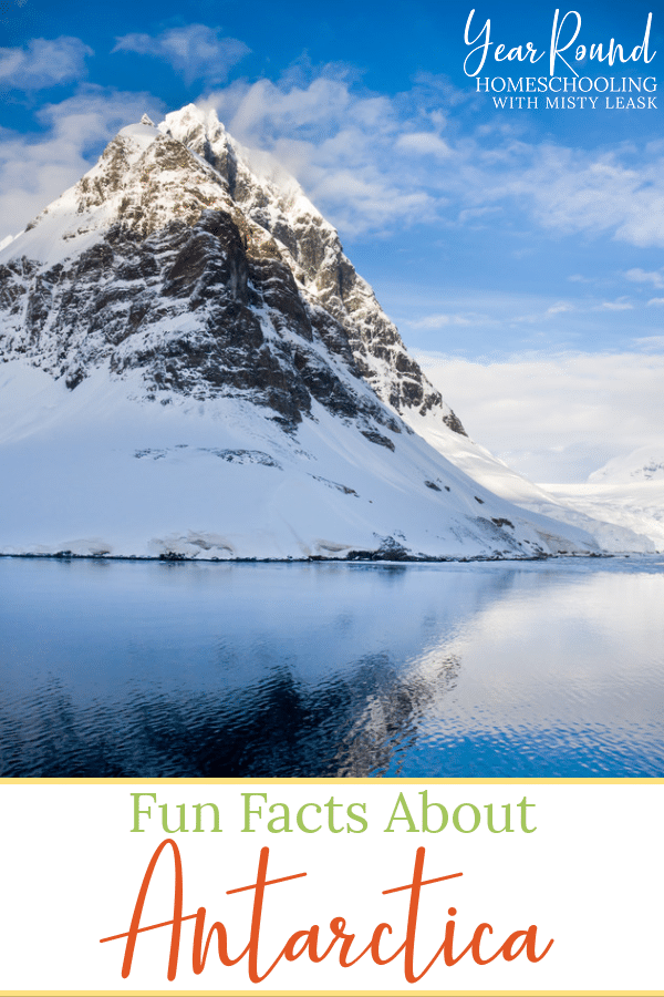 Fun Facts About Antarctica - Year Round Homeschooling
