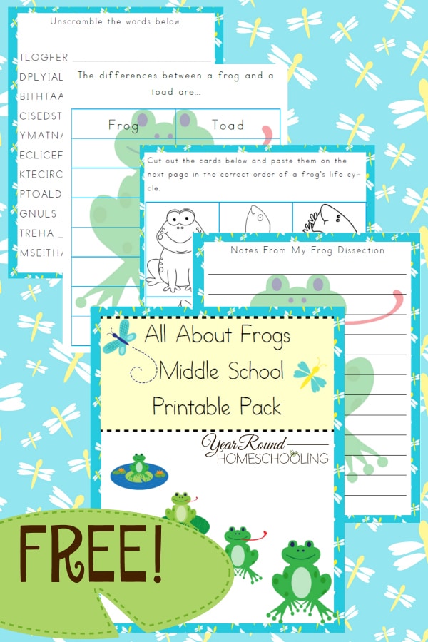 images of a free printable pack of frog worksheets for middle school with a blue colored dragonfly background