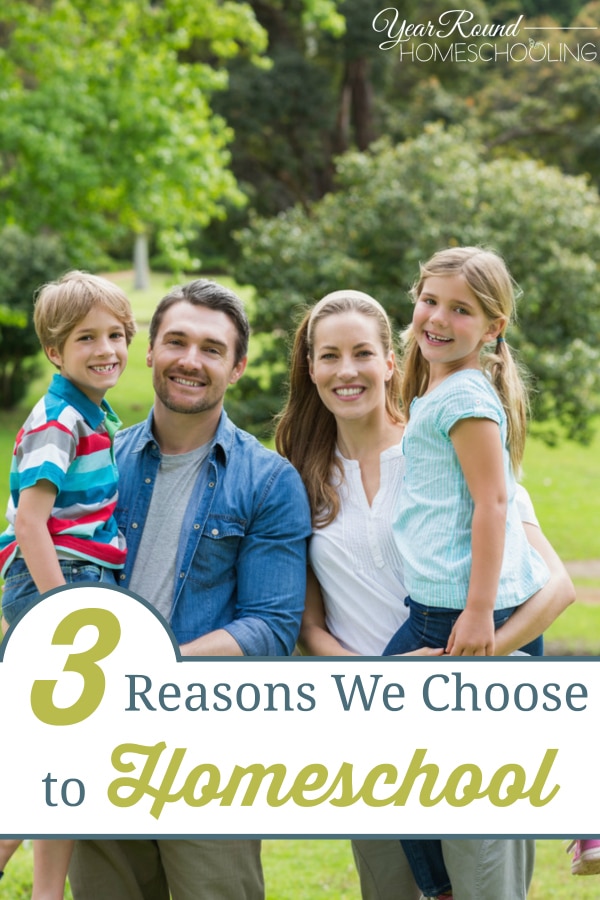 3 Reasons We Choose to Homeschool - Year Round Homeschooling