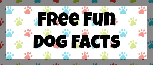 Free Dog Fun Facts