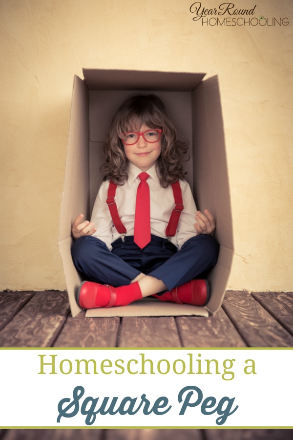 why homeschool, reasons to homeschool, homeschooling reasons, homeschool, homeschooling