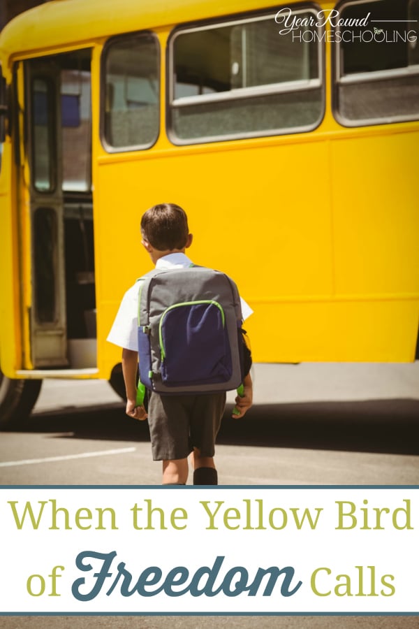 public school, homeschool, homeschooling, homeschool encouragement