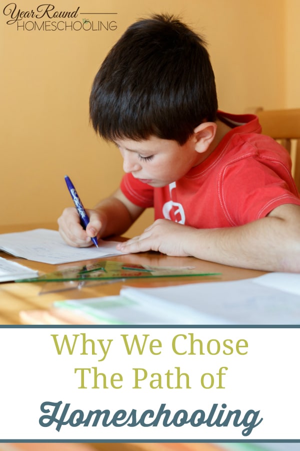 why homeschool, why we chose to homeschool, homeschool, homeschooling