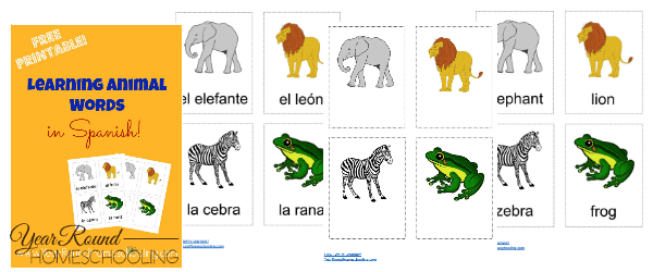 spanish animal words, spanish, animals, spanish animal flash cards, homeschool, homeschooling, worksheet, printable
