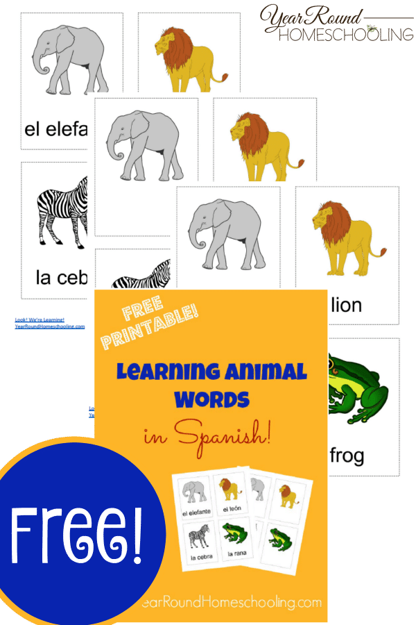 Spanish Animal Words - Year Round Homeschooling Spanish Animal Words - Year Round Homeschooling