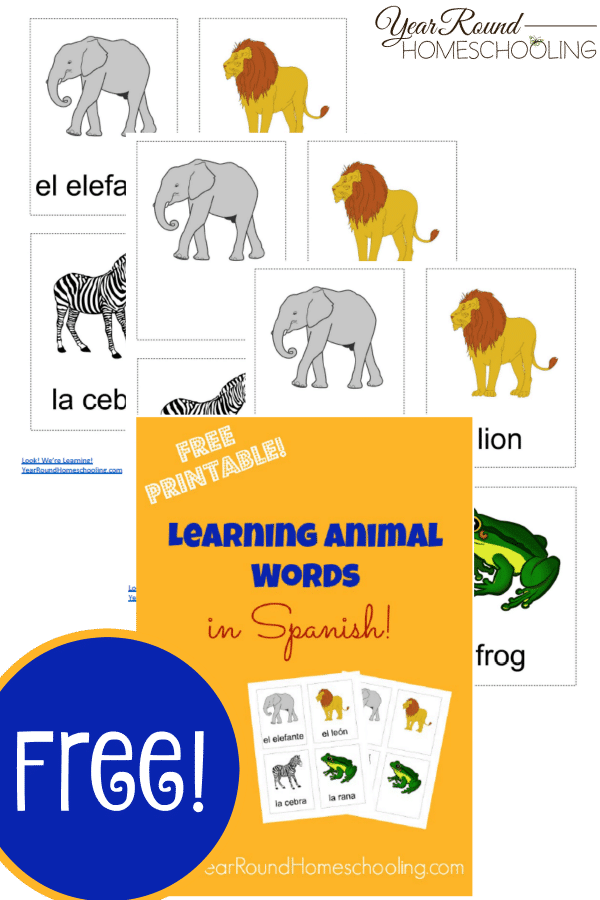 spanish animal words, spanish, animals, spanish animal flash cards, homeschool, homeschooling, worksheet, printable