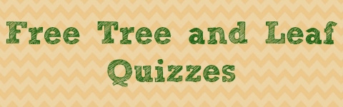 Free Tree and Leaf Quizzes