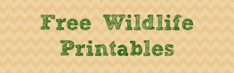 Free Wildlife Printables