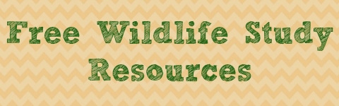 Free Wildlife Study Resources