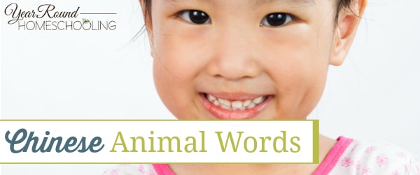 chinese animal words, chinese animals, favorite chinese pets, chinese pets