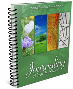 Journaling-Year-Nature-696x852