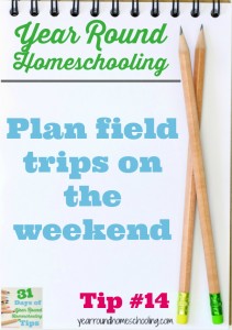 Year Round Homeschooling Tip #14