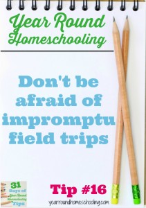 Year Round Homeschooling Tip #16