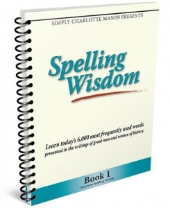 Spelling-Wisdom-us1-696x852