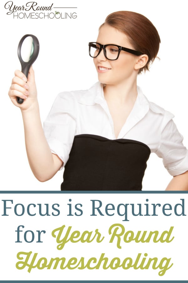 focus on homeschool, homeschooling focus, homeschool, homeschooling, year round homeschooling