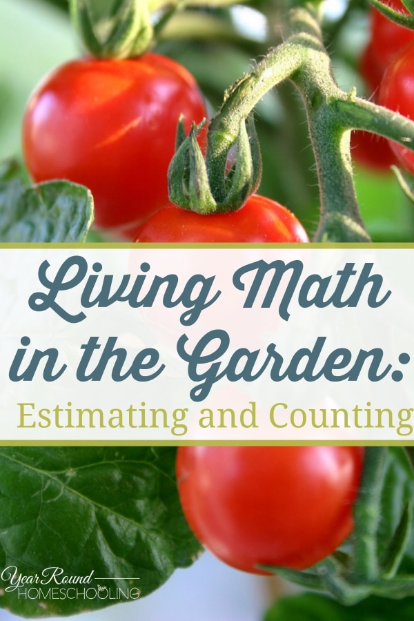 Living Math in the Garden - Estimating and Counting - By Joyice