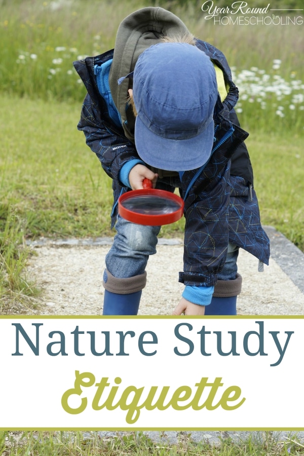 Nature Study Etiquette - By Beth