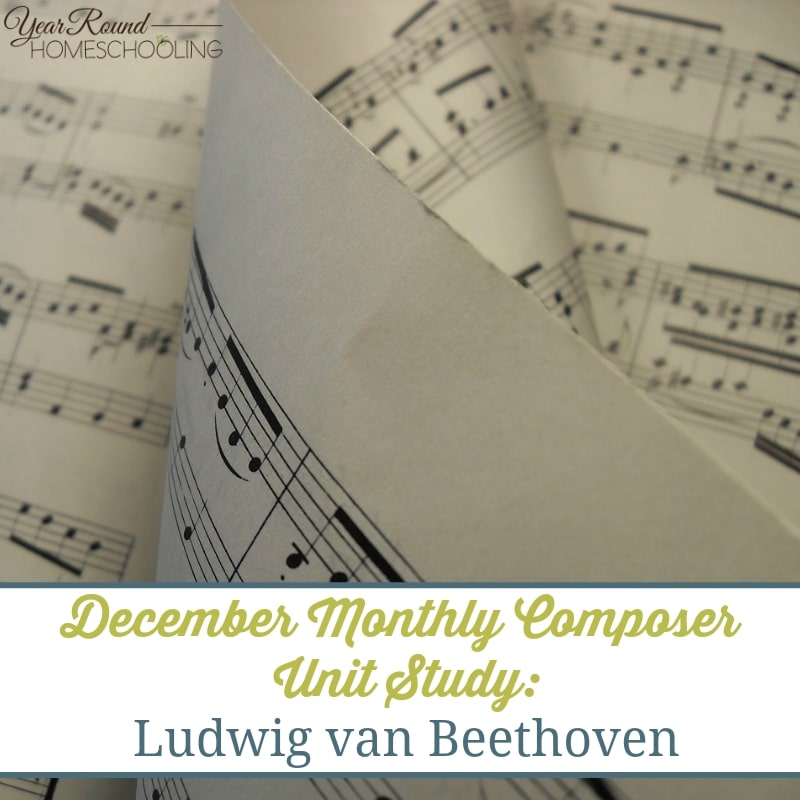 This months unit study is on one of the most famous composers, Beethoven. Read a brief bio, listen to music and fun activities. :: www.yearroundhomeschooling.com