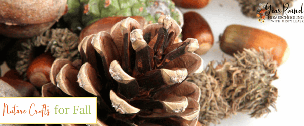 nature crafts for fall, fall nature crafts, fall crafts, nature crafts