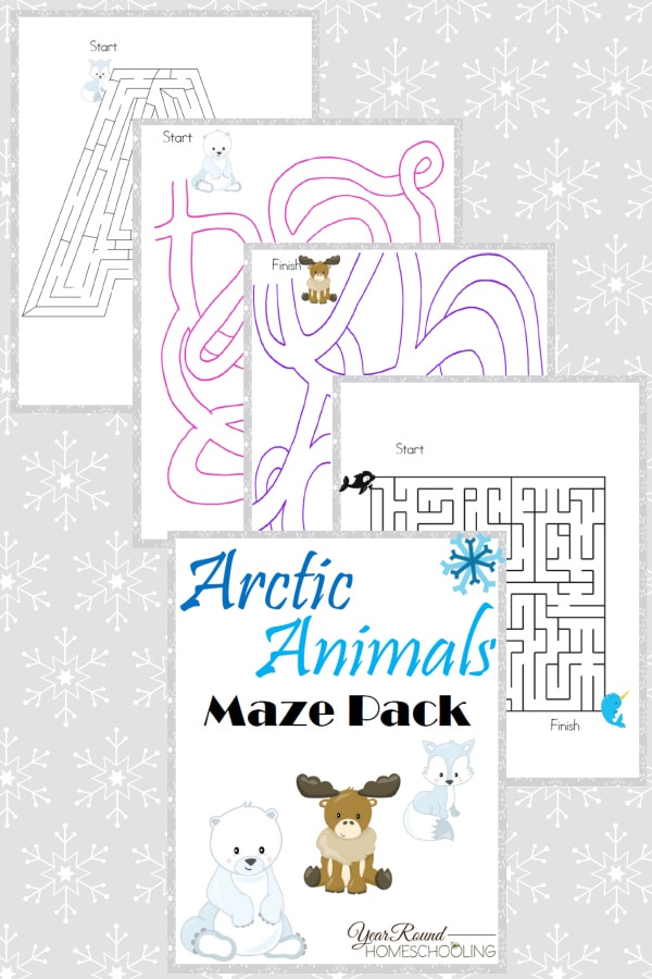 Arctic Animals Maze Pack - By Year Round Homeschooling