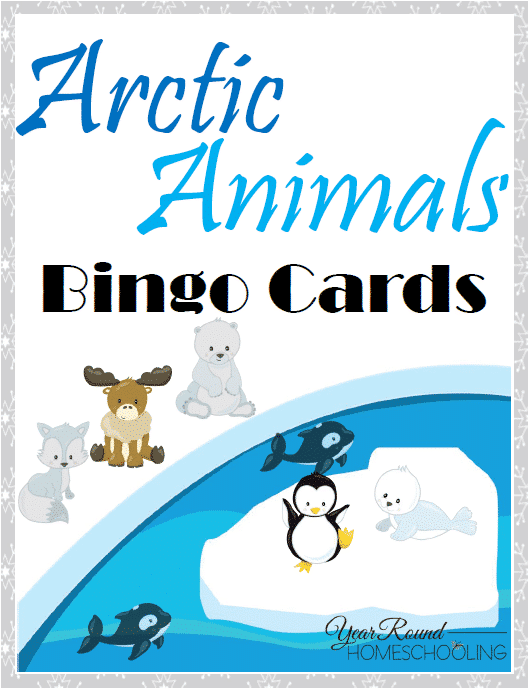 Arctic Animals Bingo Cards