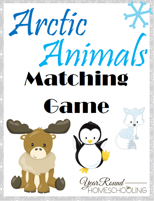 Arctic Animals Matching Game - Year Round Homeschooling