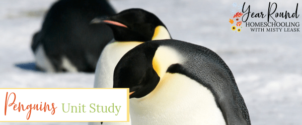 penguins unit study, unit study penguins, penguin unit study, unit study penguin