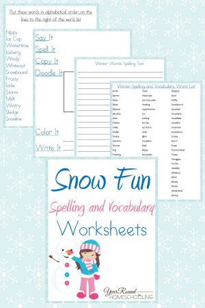 Snow Fun Spelling and Vocabulary Worksheets