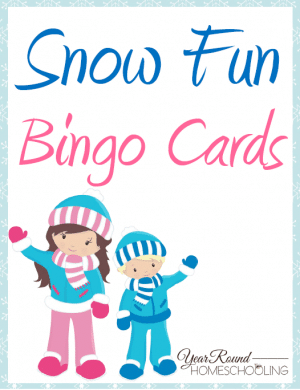 Snow Fun Bingo Cards