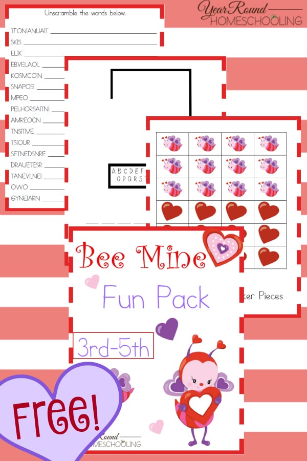 Bee Mine Fun Pack 3rd-5th