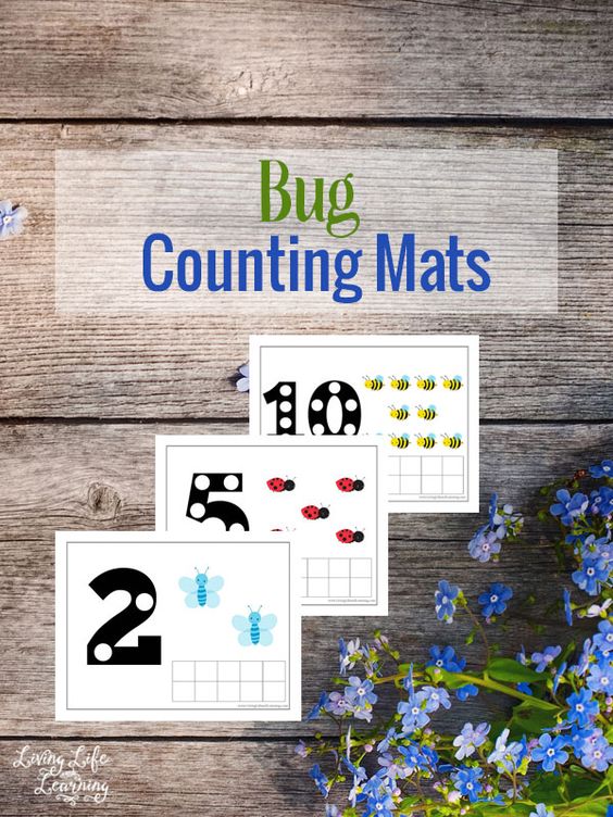 Free Bug Counting Mats