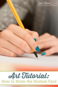 art, draw, human face, drawing, art lesson, art tutorial, homeschool, homeschooling