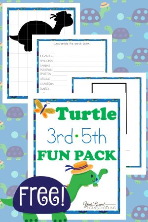 Turtle 3rd-5th Fun Pack