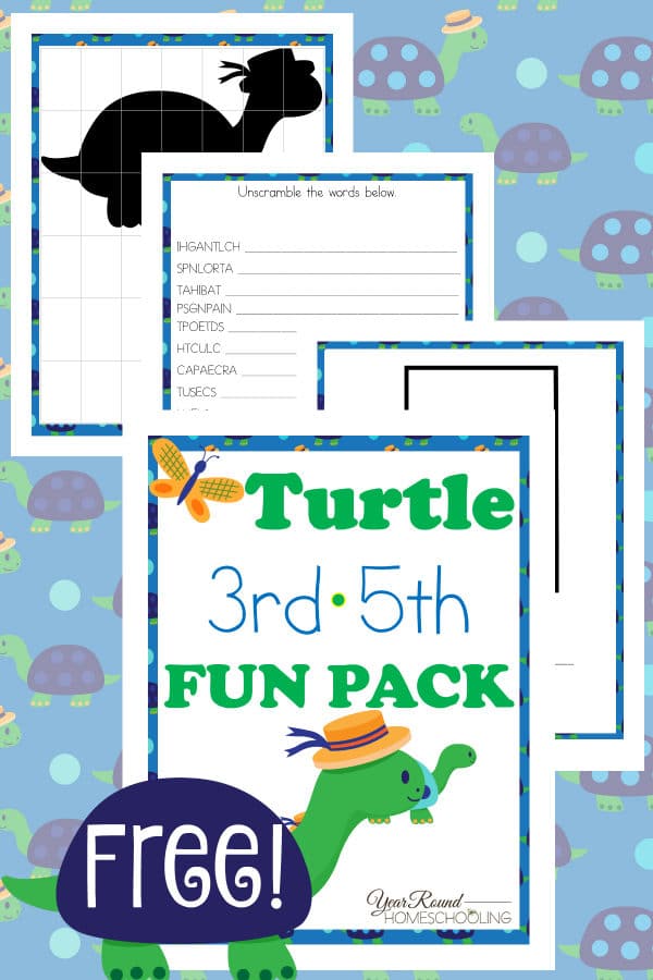 turtle, 3rd-5th, unscramble the words, hangman, checkers, puzzles