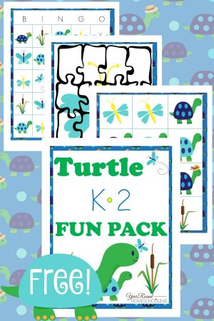 Turtle K-2 Fun Pack
