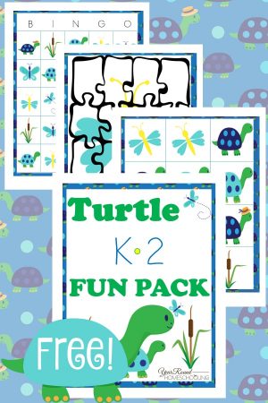 Turtle K-2 Fun Pack