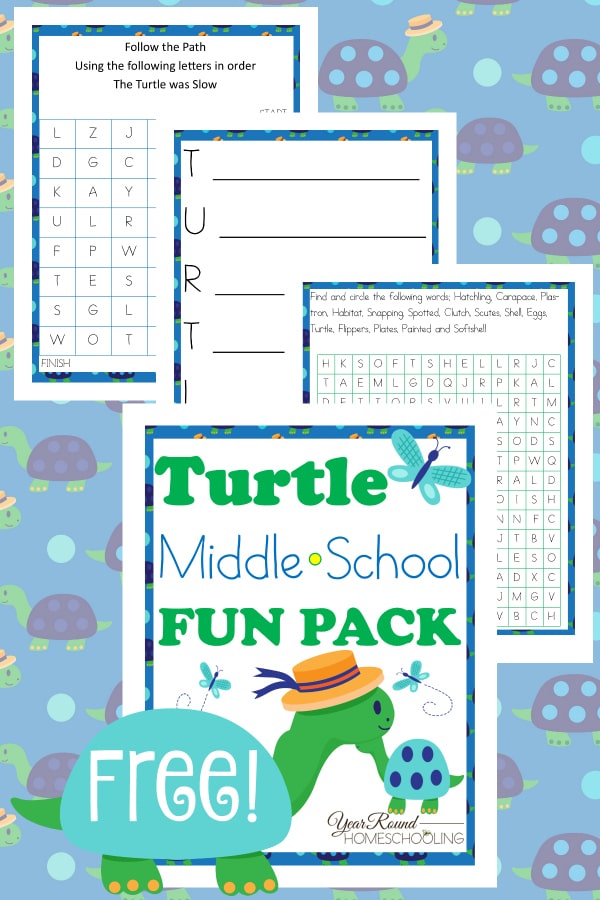 Turtle Middle School Fun Pack