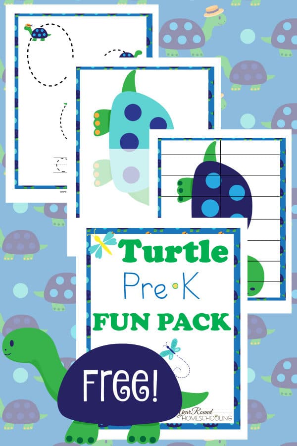 turtle, prek, preschool, homeschool, homeschooling, printable