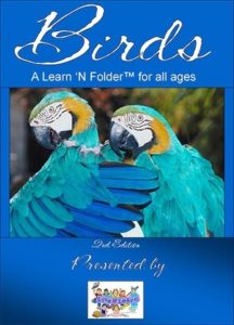 Birds - A Learn 'N Folder